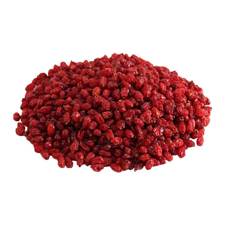 Barberry nuttime