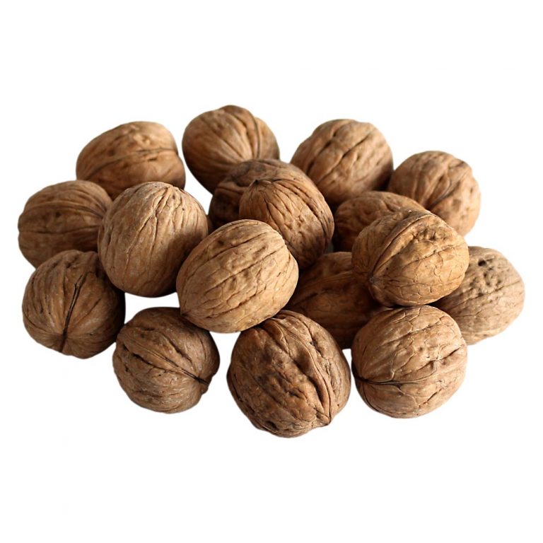 Chilean Walnuts In Soft Shell w nuttime